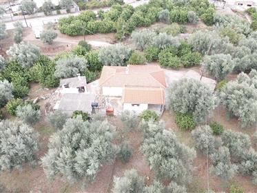 Einfamilienhaus von 82 m² mit Grundstück von 4087 m² in Foniscaria, Aigio