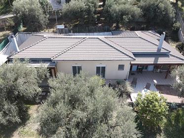 4 Bedrooms' House With Land Plot Full Of Olive Trees In Trapeza, Diakopto