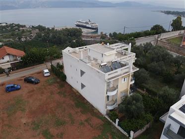 Two Apartments 145 Sq.M. And 50 Sq.M. In A Very Good Area In Aigio