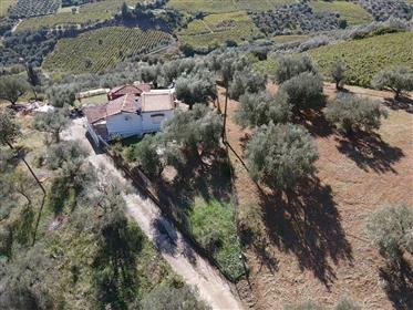 2 Bedrooms' Village House 75 Sq.M. With 1000 Sq.M. Plot Full Of Olive Trees