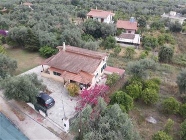 4 Bedrooms' House 120 Sq.M. With 700 Sq.M. Land In The Center Of Diakopto