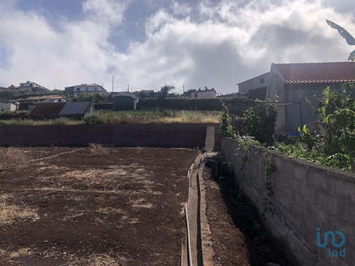 Terra a Ponta do Sol, Madeira