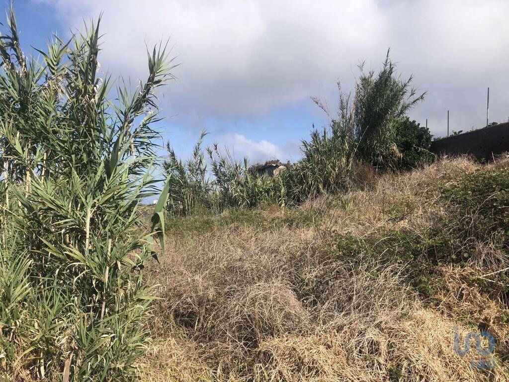 Ground in Canhas with 434,00 m²
