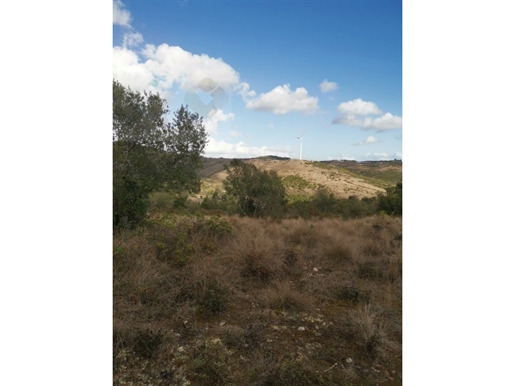 Mixed Land Sale Loures