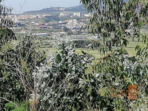 Земльный участок Продажа Sintra