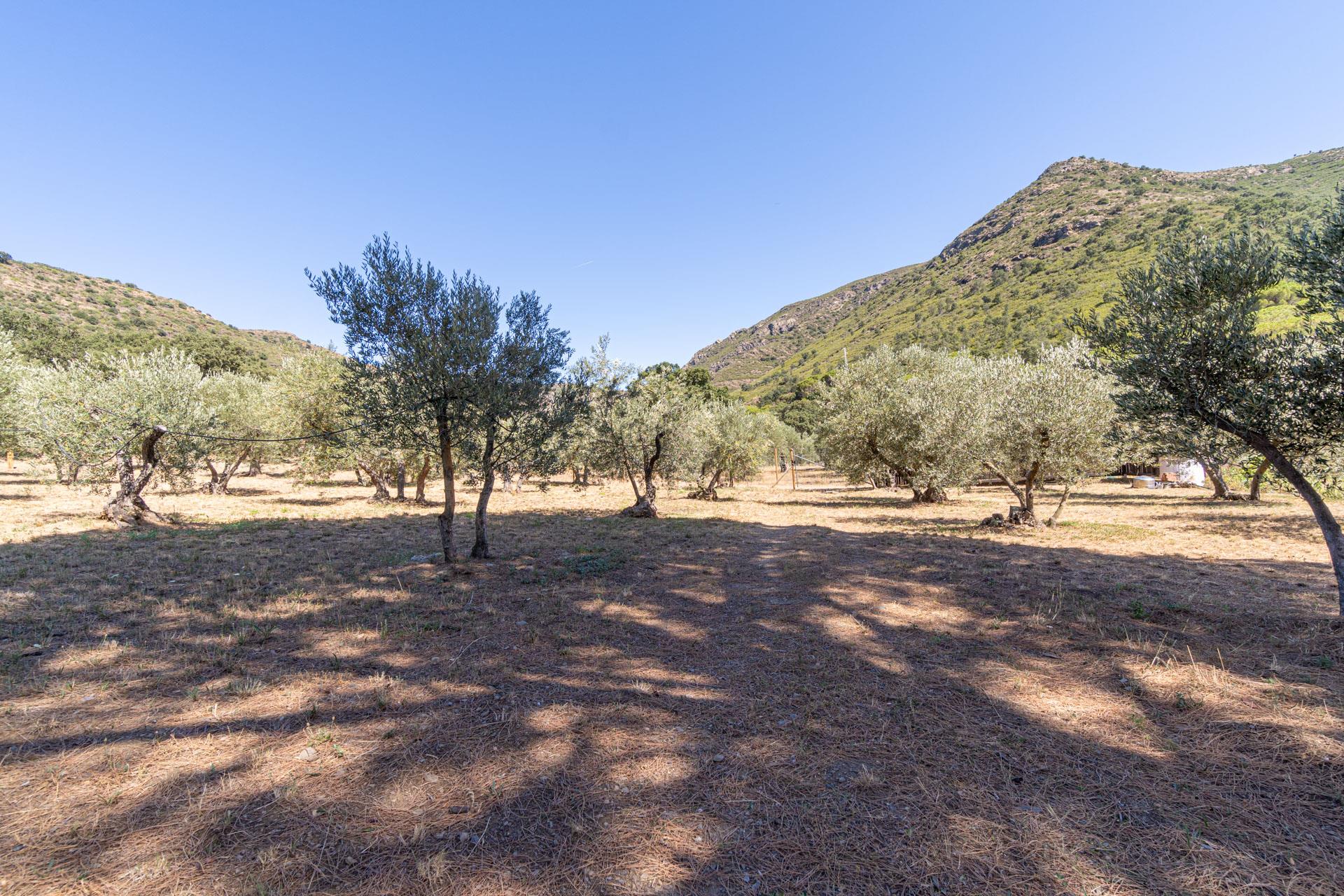 Finca rustique à Roses