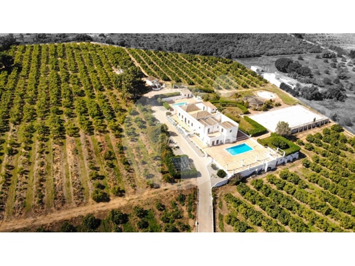 T7 Villa With Swimming Pool - Moncarapacho