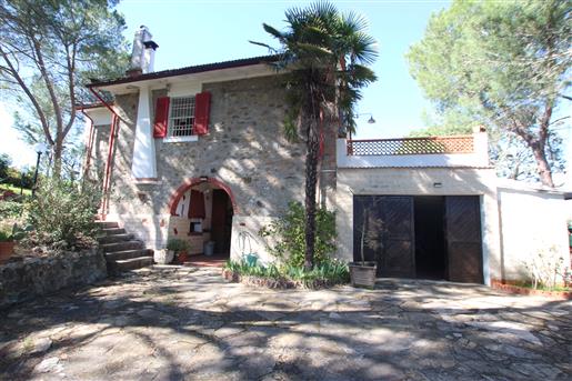 Chianni: detached house to be restored with garden and swimming pool, facing the street