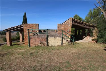 Volterra: Casolare con annessi, terreni e piscina da ristrutturare completamente
