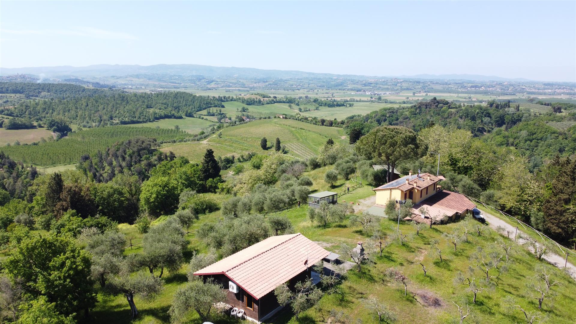 Palaia: farm for sale in a panoramic position