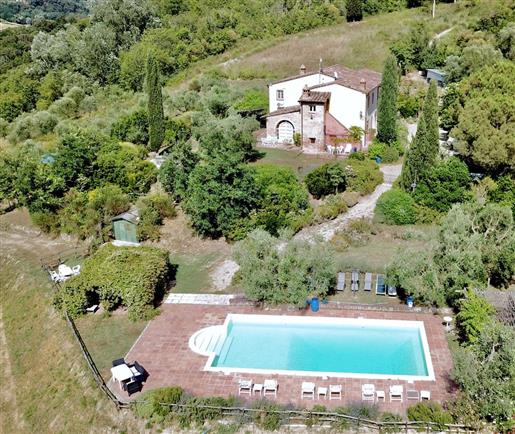 Beautiful farmhouse with land and swimming pool for sale in the countryside of Palaia