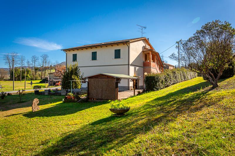 Volterra: House for sale with outbuildings and 3 hectares of land in a flat position