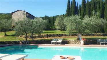 Sasso Pisano : nous vendons 2 fermes avec piscine et 1,5 hectares de terrain