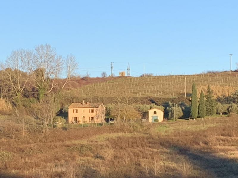 Farmhouse with vineyard for sale in the countryside of Soiana