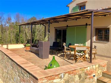 Terricciola: 3 bedroom villa, 3000 sqm of land with swimming pool in panoramic position
