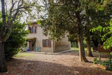 Volterra: Fritliggende hus til salg, der skal restaureres med 2000 kvadratmeter jord 