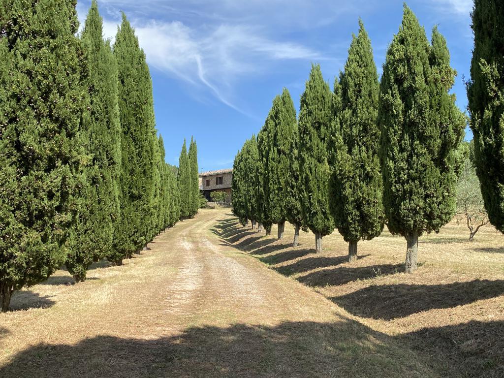 Castelnuovo Val di Cecina: farmhouse with 2 hectares of land for sale