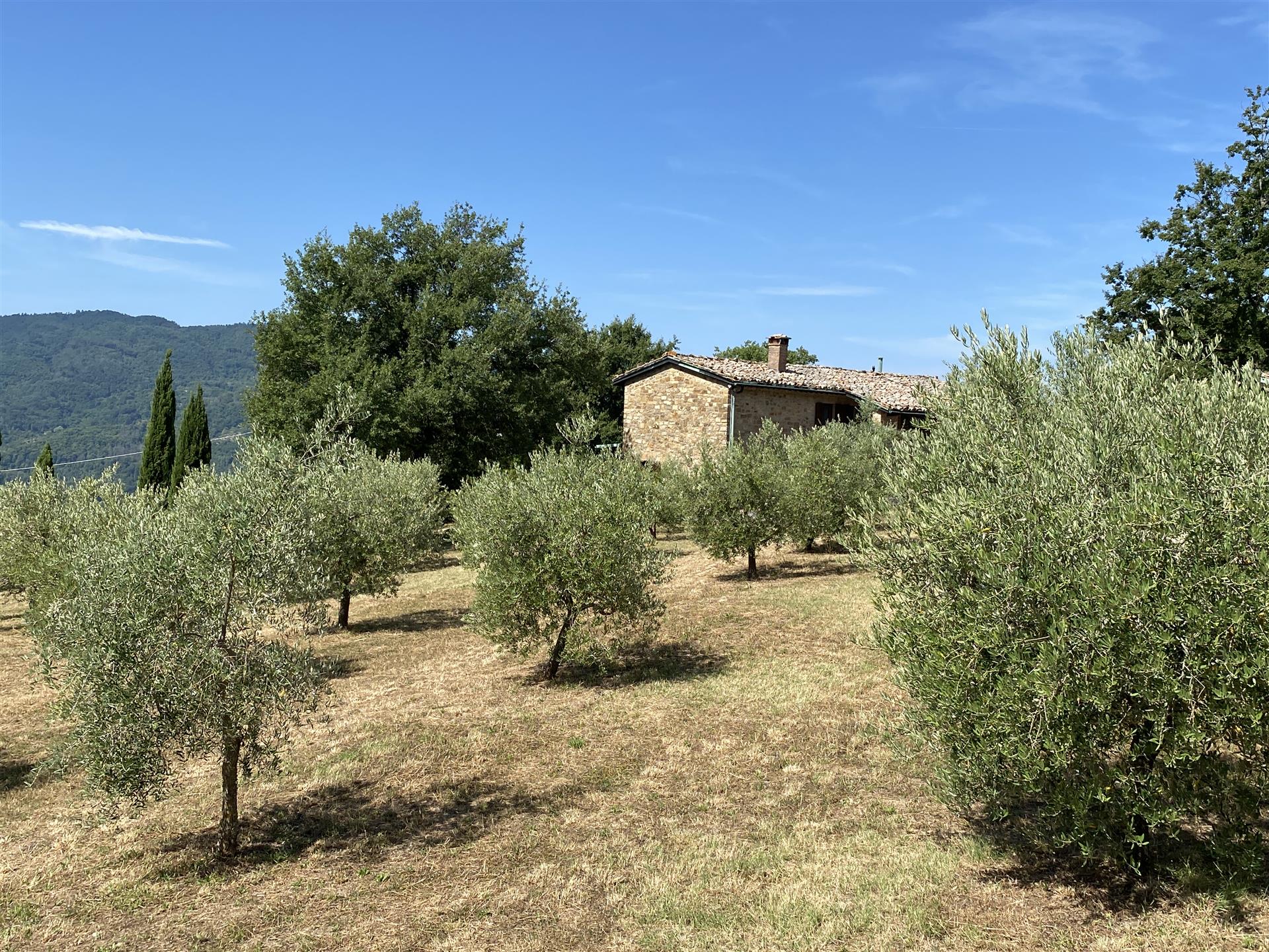 Castelnuovo Val di Cecina: farmhouse with 2 hectares of land for sale
