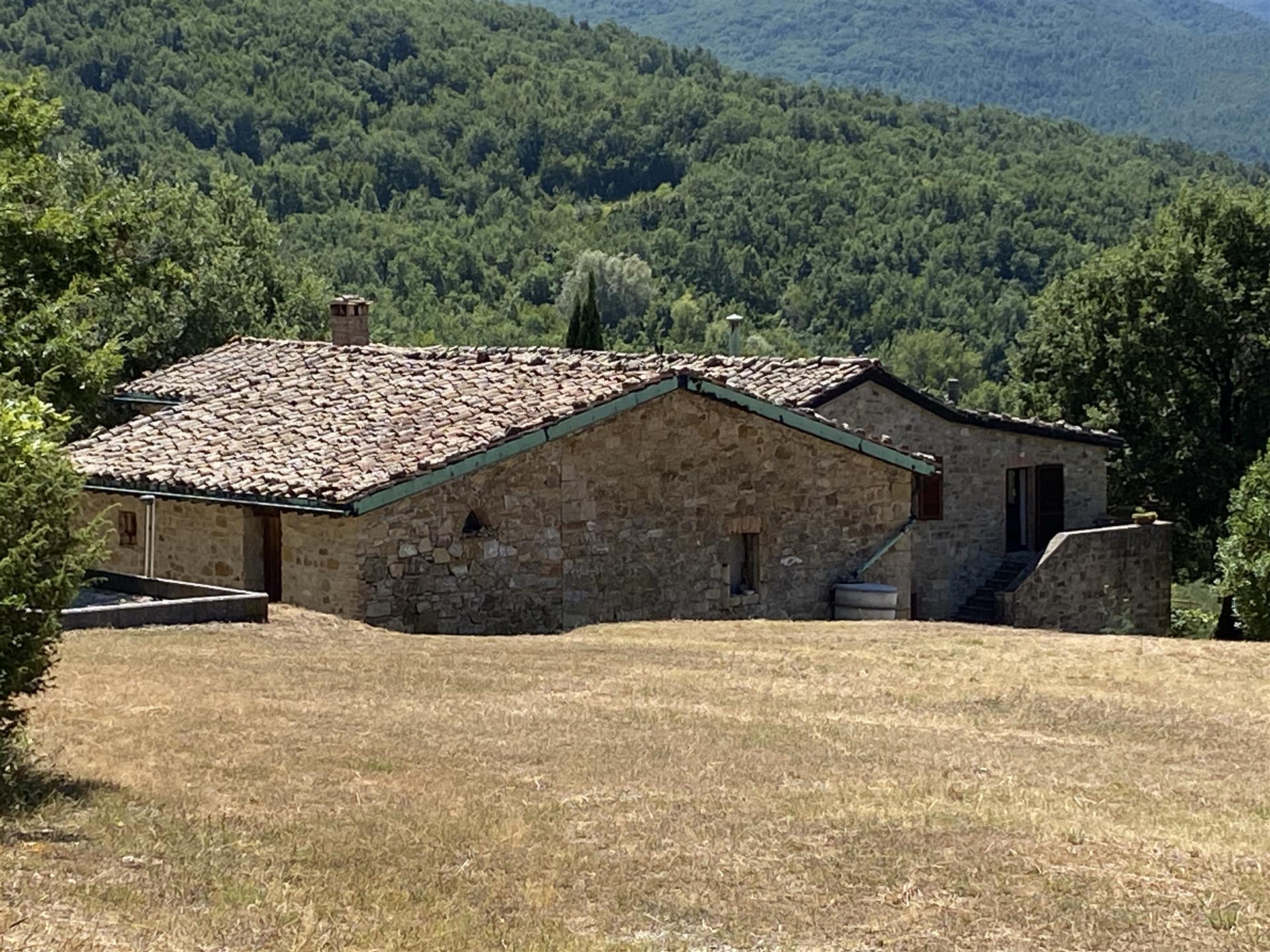 Castelnuovo Val di Cecina: farmhouse with 2 hectares of land for sale