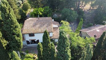 For sale farmhouse with 2.5 hectares of land in the first countryside of Volterra