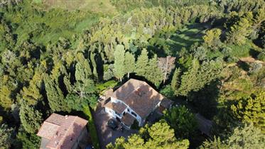 A vendre ferme avec 2,5 hectares de terrain dans la première campagne de Volterra