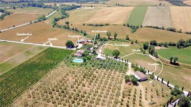 Ejendom med agroturisme, herregård og landbrugsproduktion – vin, olie og skadedyr