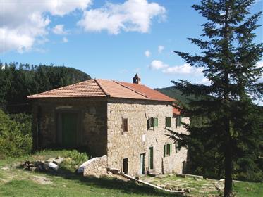  Ανακαινισμένη αγροικία στους λόφους μεταξύ Cortona και Castiglion Fiorentino