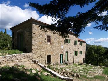  Ανακαινισμένη αγροικία στους λόφους μεταξύ Cortona και Castiglion Fiorentino