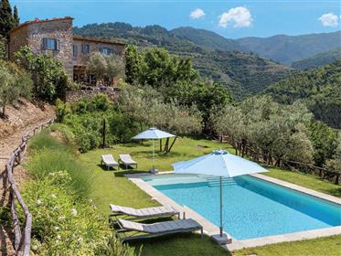 Spettacolare casale con piscina e uliveto tra Arezzo e Firenze