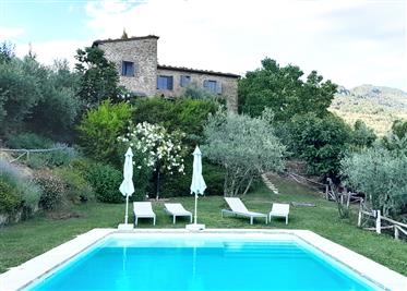 Spettacolare casale con piscina e uliveto tra Arezzo e Firenze