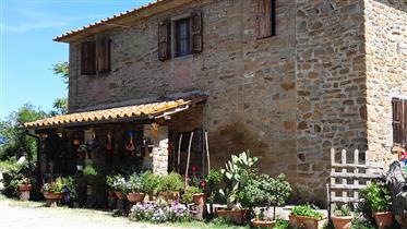 Casale con casa ospiti in posizione panoramica tra Cortona e Castiglion Fiorentino