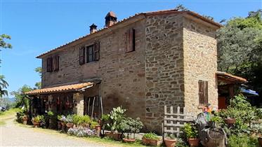 Šestipokojová nemovitost s olivovými háji a malou vinicí ve Val di Chio, 