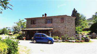 Propriété de six chambres plus avec oliveraies et petit vignoble à Val di Chio, 