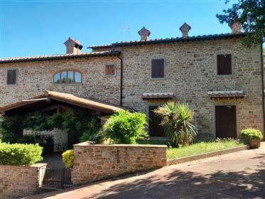  Three houses plus outbuildings surrounded by one hectare park, among vineyards and olive groves