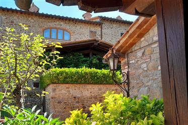  Trois maisons plus dépendances entourées d’un parc d’un hectare, entre vignes et oliveraies