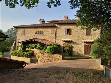  Three houses plus outbuildings surrounded by one hectare park, among vineyards and olive groves