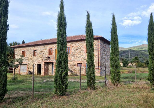 Bauernhaus mit Weinberg