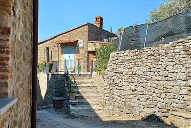  Portion de moulin à huile d’olive antique en position vallonnée et panoramique