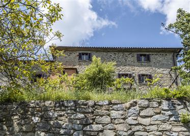 Three storey stone building with two outbuildings and one hectare of land in uncontaminated location
