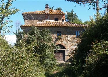 Winnica Chianti, gaj oliwkowy, las, stary kamienny dom i dwa budynki  gospodarcze