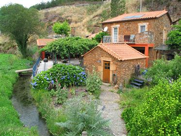 Upea riverside mill estate Keski-Portugalissa