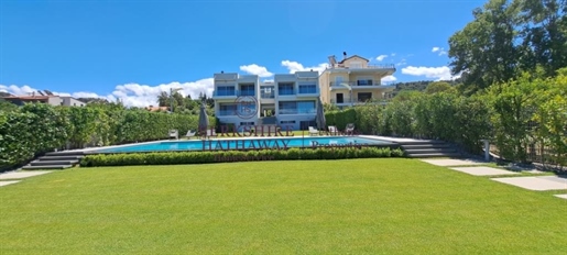 (For Sale) Residential Residence complex || Achaia/Patra - 800 Sq.m, 6 Bedrooms, 1.900.000€