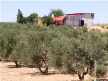 Rustic property for sale in Toledo province (Spain)