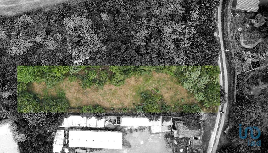 Construction land in Lagoa (Nossa Senhora do Rosário) with 2560,00 m²