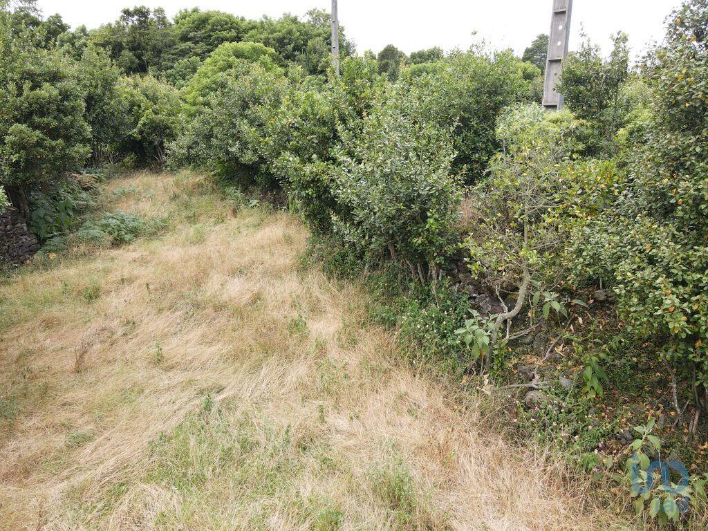 Construction land in Lagoa (Nossa Senhora do Rosário) with 2560,00 m²