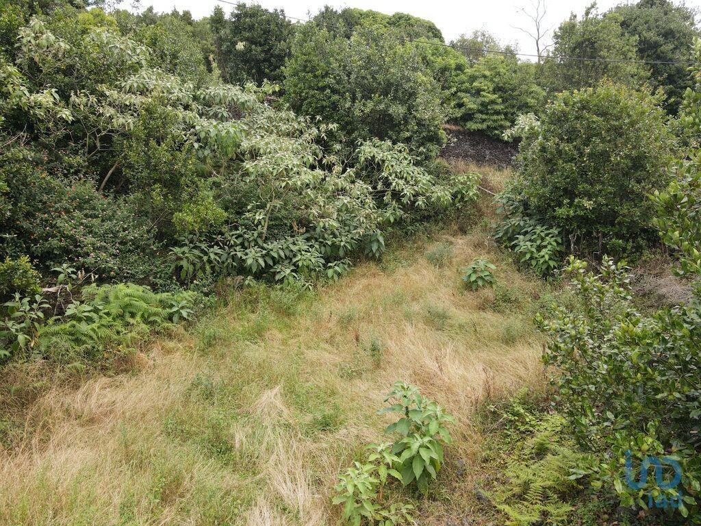 Construction land in Lagoa (Nossa Senhora do Rosário) with 2560,00 m²