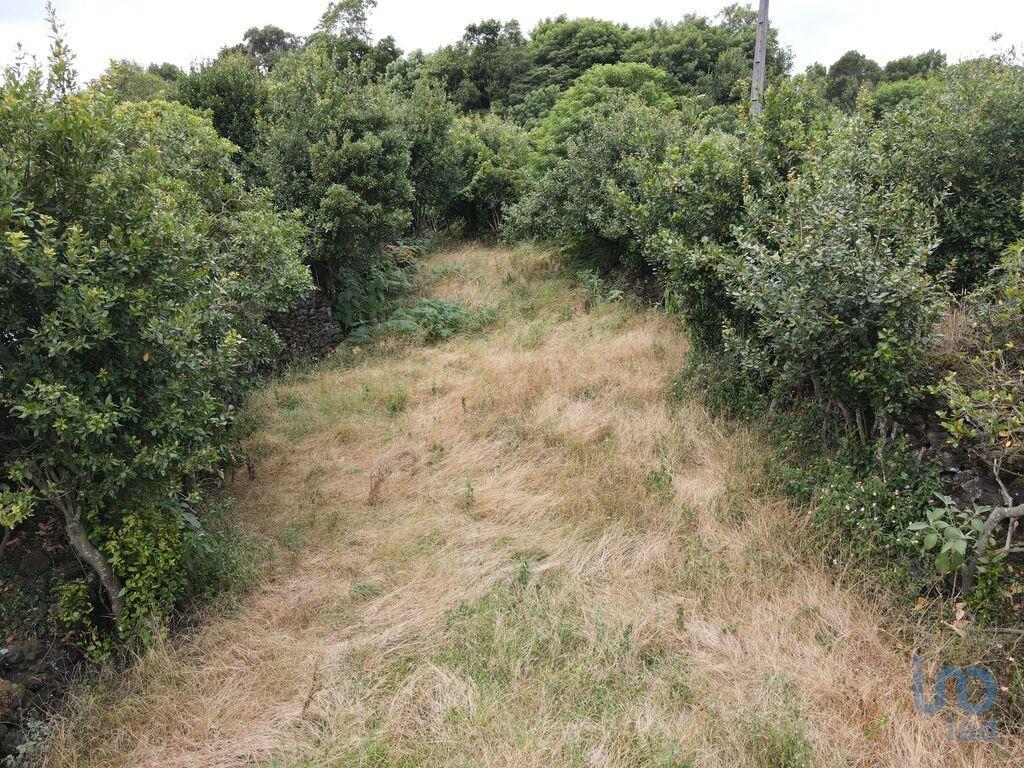 Construction land in Lagoa (Nossa Senhora do Rosário) with 2560,00 m²