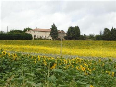 Former farm tastefully renovated, 241m² of living surface, main house with 2 bedrooms, guest house w