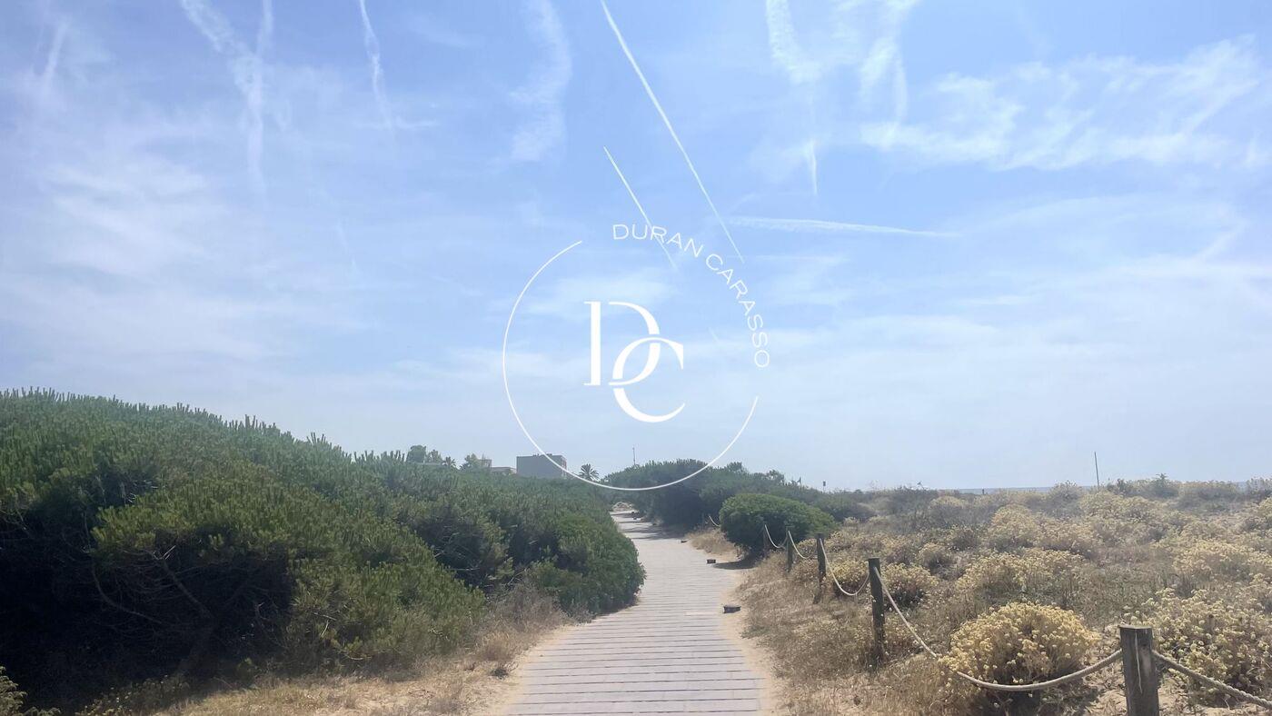 Purchase: Land (08850)