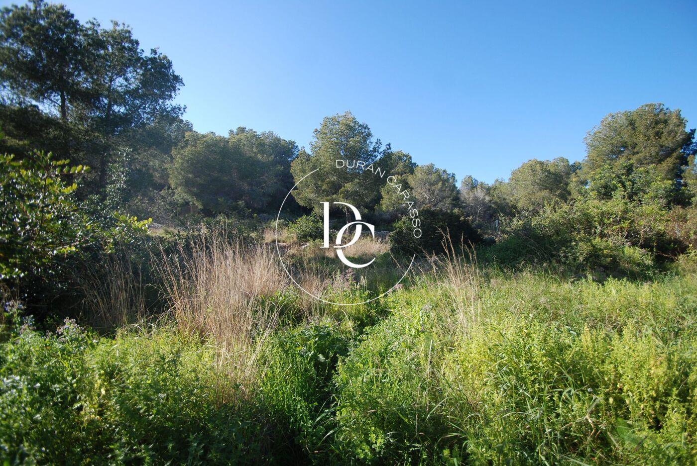 Purchase: Land (08870)